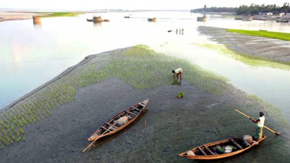 তিস্তা